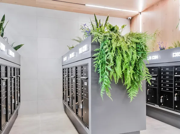 974 Carroll Street image 56 of 59