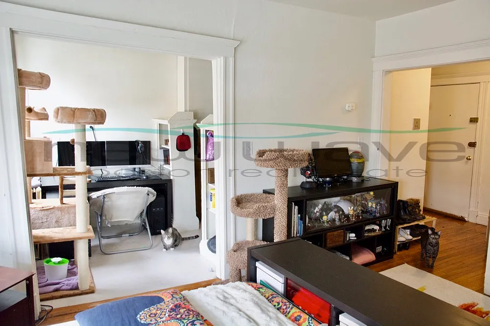 Studio, 450 sqft, $2,300 — Photo 4