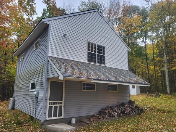 1756 Fuller Hill Road, Downsville, NY 13755