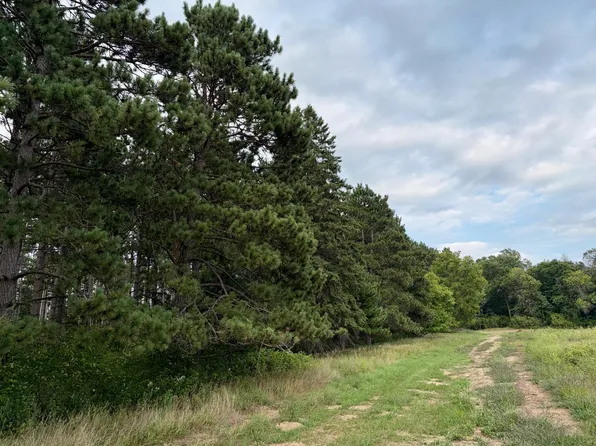Tulip St NW, Stanchfield, MN 55080