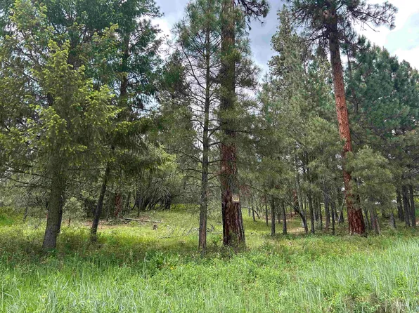 1 Card Creek Casey Ests #3, Garden Valley, ID 83622