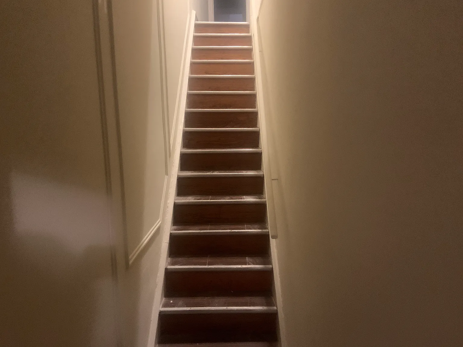 2 bed, 1200 sqft, $1,500 — Photo 3