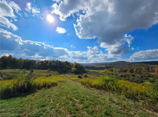 Bailey Hill Rd #21, Arkport, NY 14807