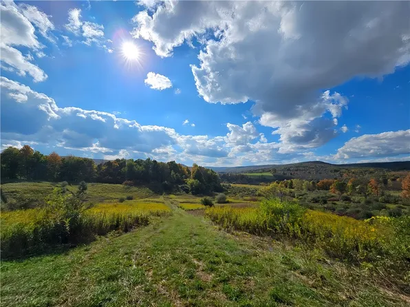 Bailey Hill Rd #21, Arkport, NY 14807