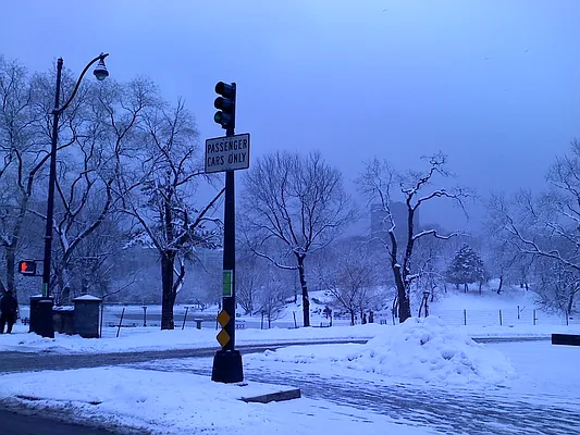 Rented by Central Park Holding Corp. | media 13