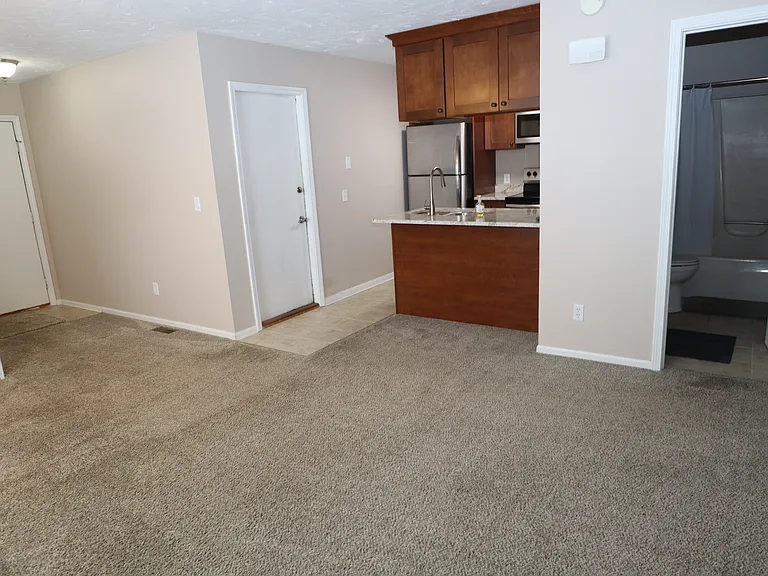 1111.5 S Chimney Hill Dr — Photo 6