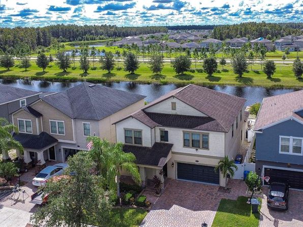 19462 Paddock View Dr, Tampa, FL 33647