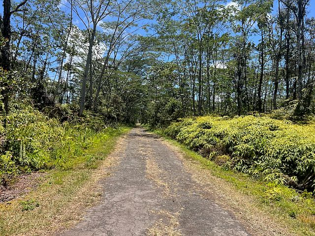 2nd image of Plumeria Rd Lot 187