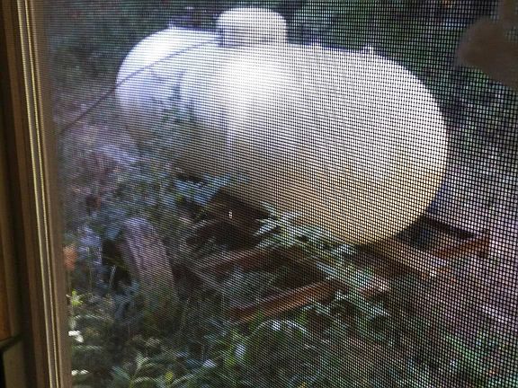 propane tank on trailer