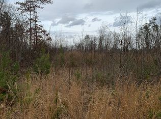 Cheaneys Bridge Rd, Dunnsville, VA 22454