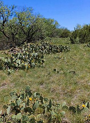 3rd image of 1035 County Road 298