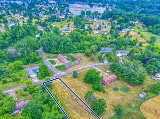 10561 Loughrea Ln, Cement City, MI 49233