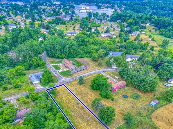 10561 Loughrea Ln, Cement City, MI 49233