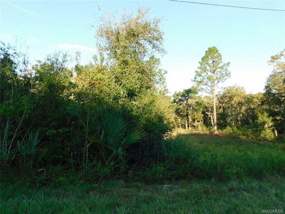 1st image of 11708 N Belluzzi Ter #18