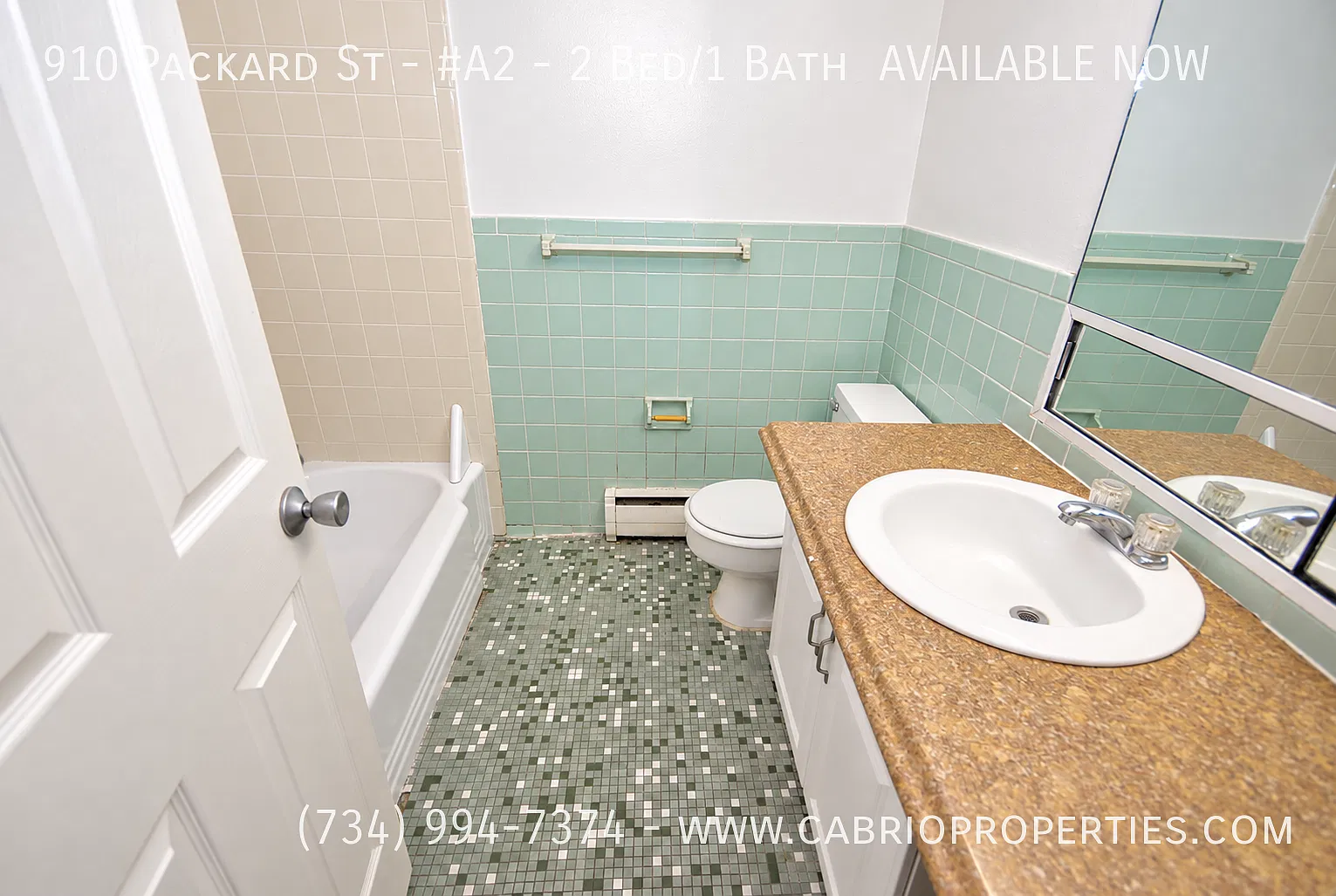 910 Packard St. — Photo 3