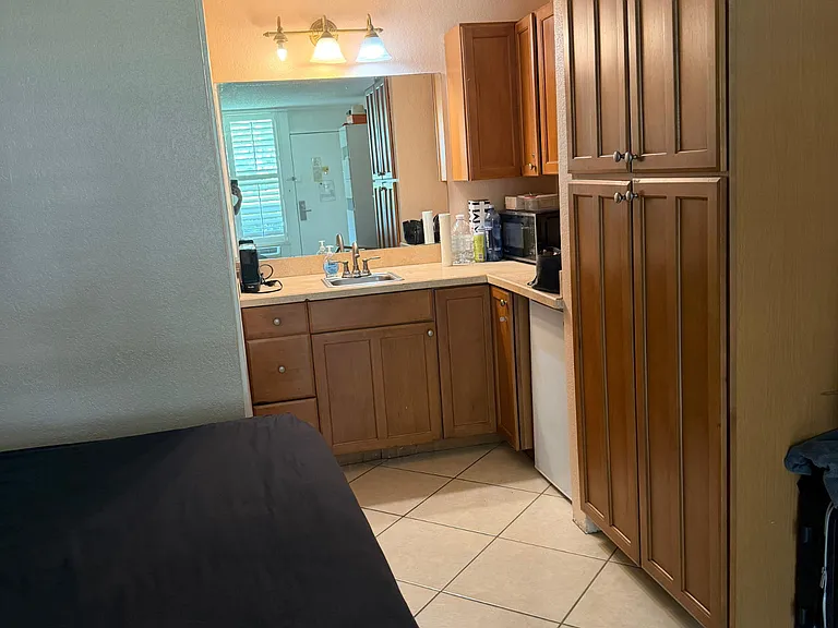 KITCHEN CABINETS AND WALL CLOSETS, NEW REFRIG & MICROWAVE