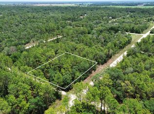 NE 123rd Ave, Williston, FL 32696