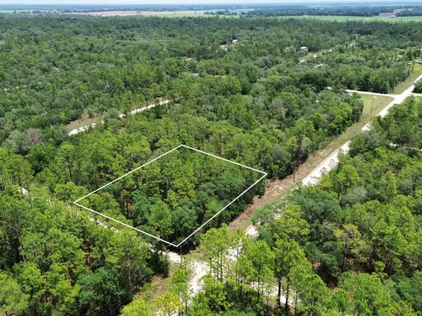  NE 123rd Ave, Williston, FL 32696
