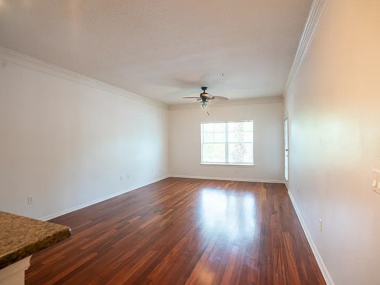4207 S Dale Mabry Hwy #1204 — Photo 12
