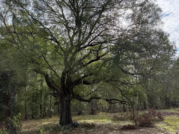 TBD NW SR 16, Starke, FL 32091