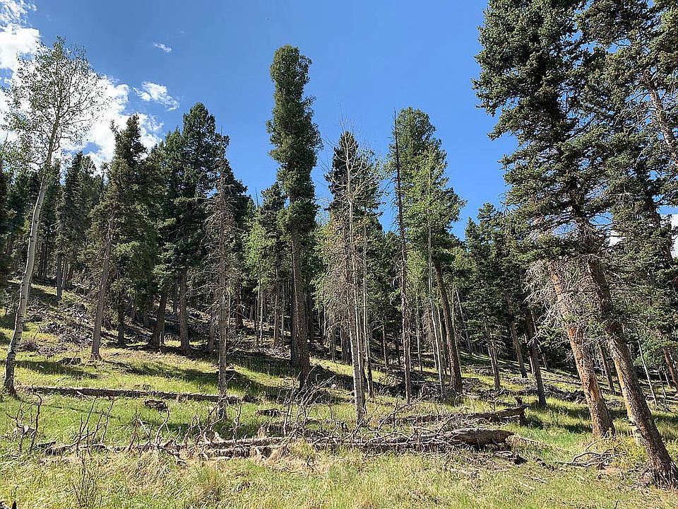 2nd image of LOT 19 W Bear Paw Rd