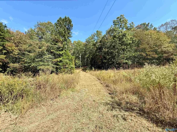 400 County Road 915, Leesburg, AL 35983