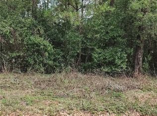 3665 S Diamond Ave, Inverness, FL 34452