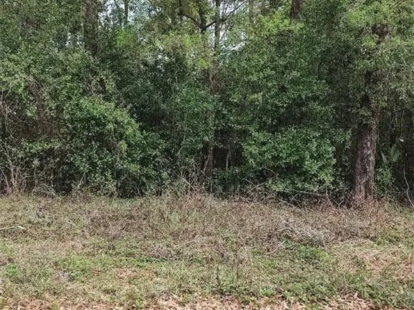 3665 S Diamond Ave, Inverness, FL 34452