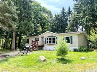 482 1/2 Overlook Dr, Rittman, OH 44270