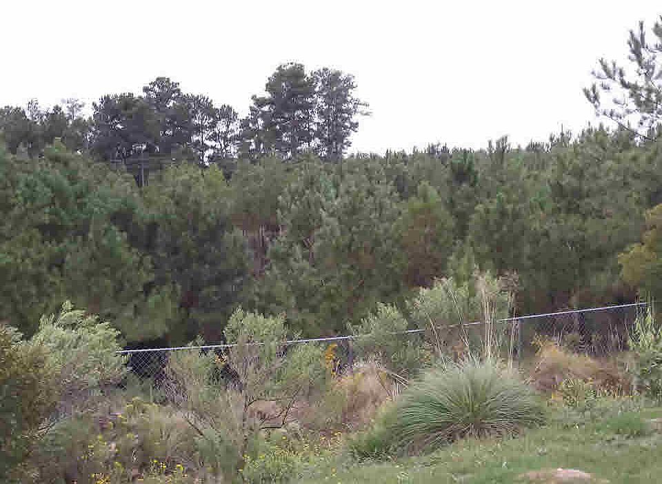 2nd image of 109 Perry Oaks Ln