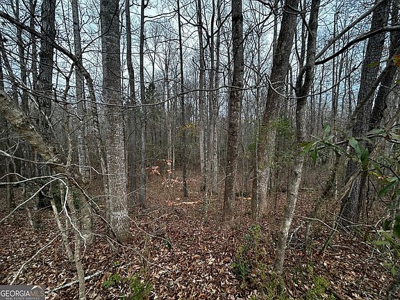 4th image of 133 Four Oaks Dr