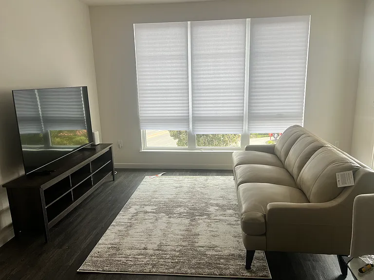 Living Room 1_1