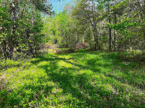 4th image of 900 Tramel Rd