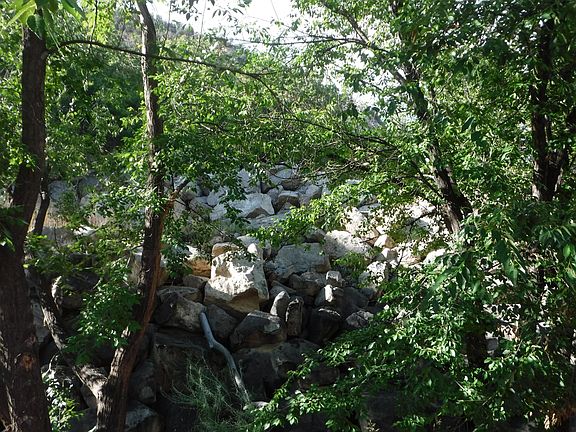 Backyard off deck private
