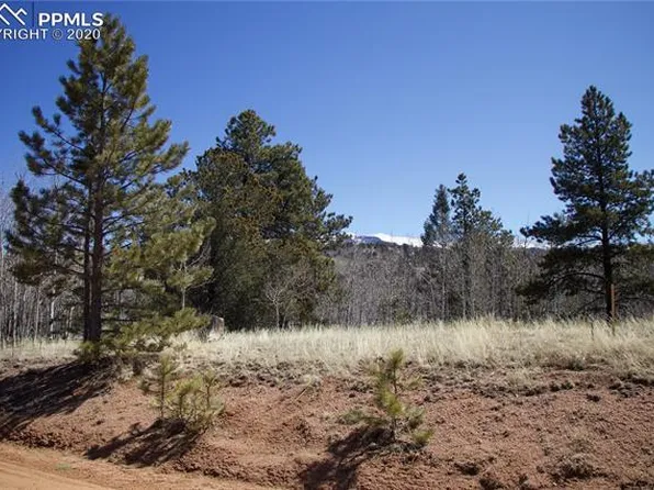 1058 May Queen Dr, Cripple Creek, CO 80813