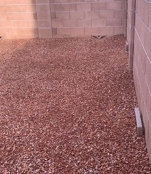 Rincalina on Speedway Townhomes — Photo 36