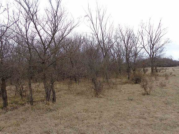 4th image of 185752 State Hwy #81