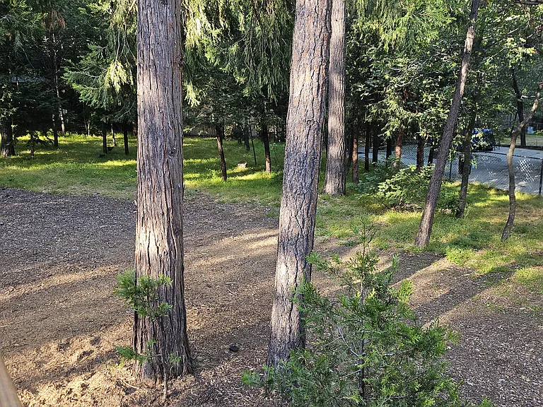 S Circle Dr — Photo 24