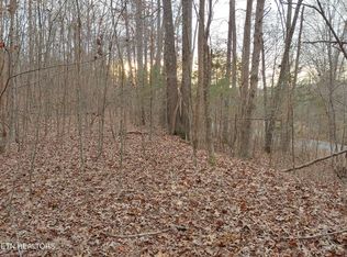 10702 S Nopone Valley Rd, Decatur, TN 37322