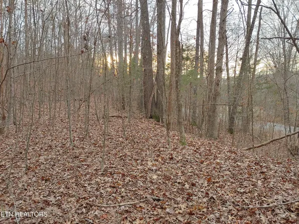 10702 S Nopone Valley Rd, Decatur, TN 37322