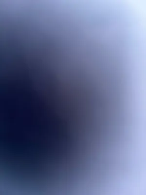 Rented by Minotaur Management | media 16