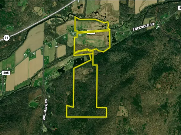 284 E Spencer Rd Lot Wp001, Spencer, NY 14883
