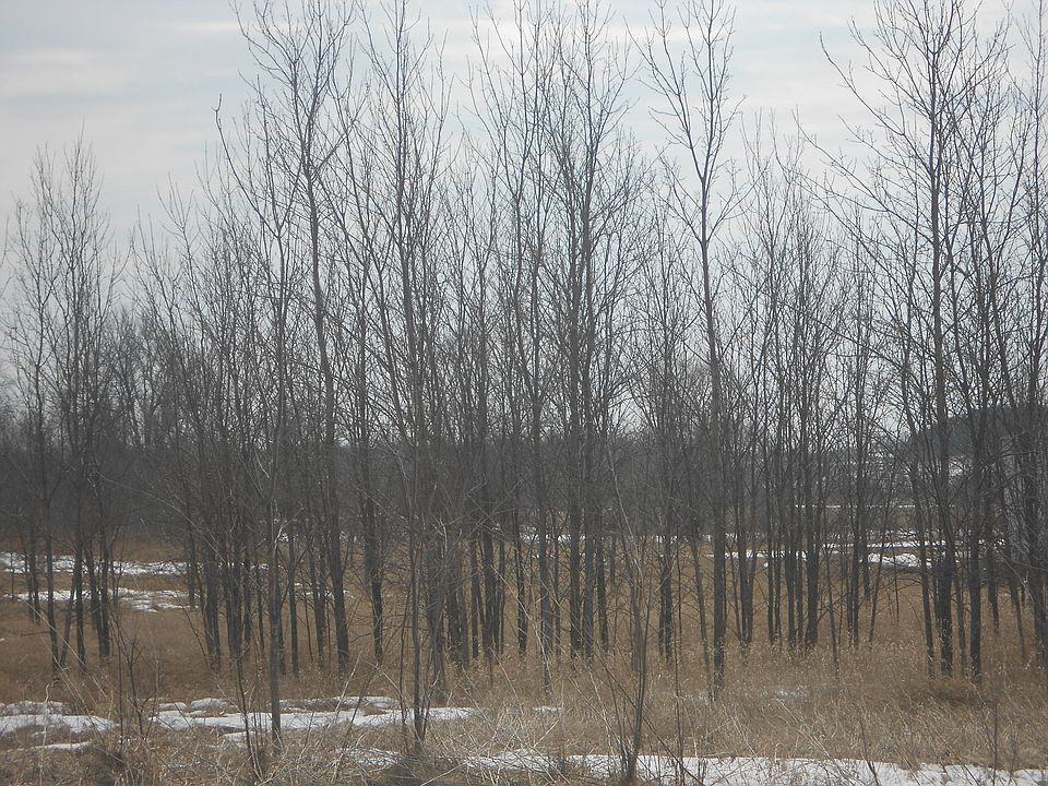 2nd image of Lot # 2 Hwy 156