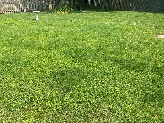 Completely fenced backyard!