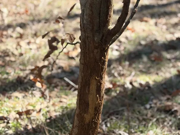 11330 Mississippi #429, Kosciusko, MS 39090