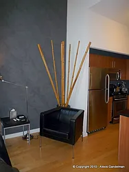 Rented by New York Residence