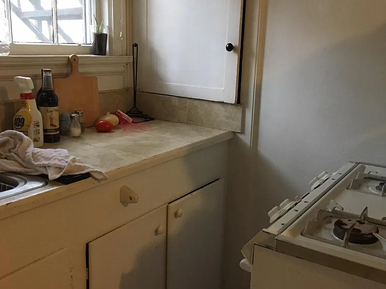 603 Henderson St #1 2 AND 3 — Photo 32