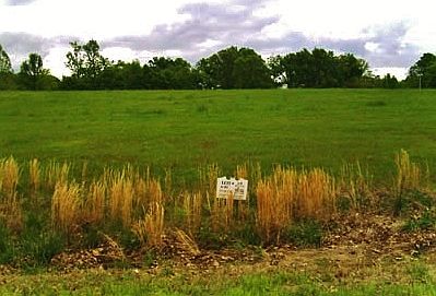 1st image of 20 Winter Oaks Drive