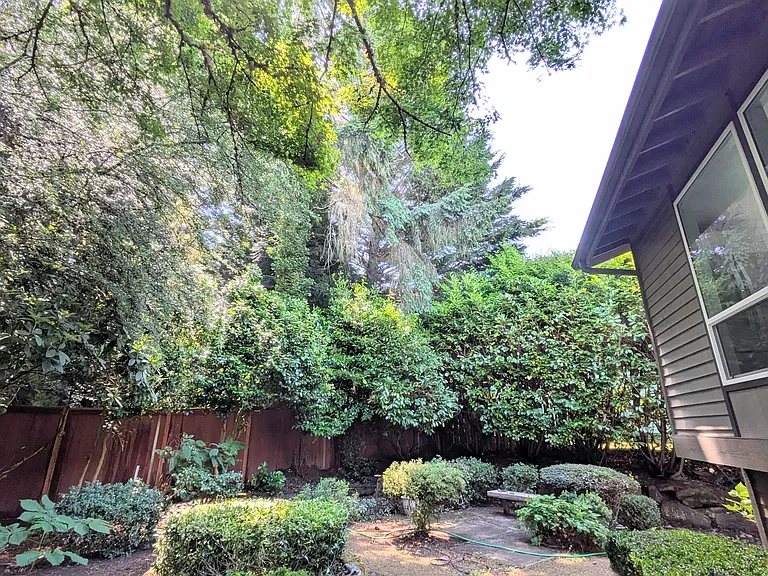 Private courtyard green space