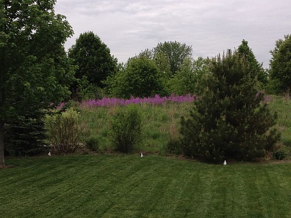 Backs to prairie path